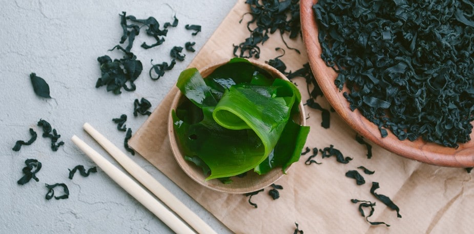 A Short Guide to Edible Seaweed